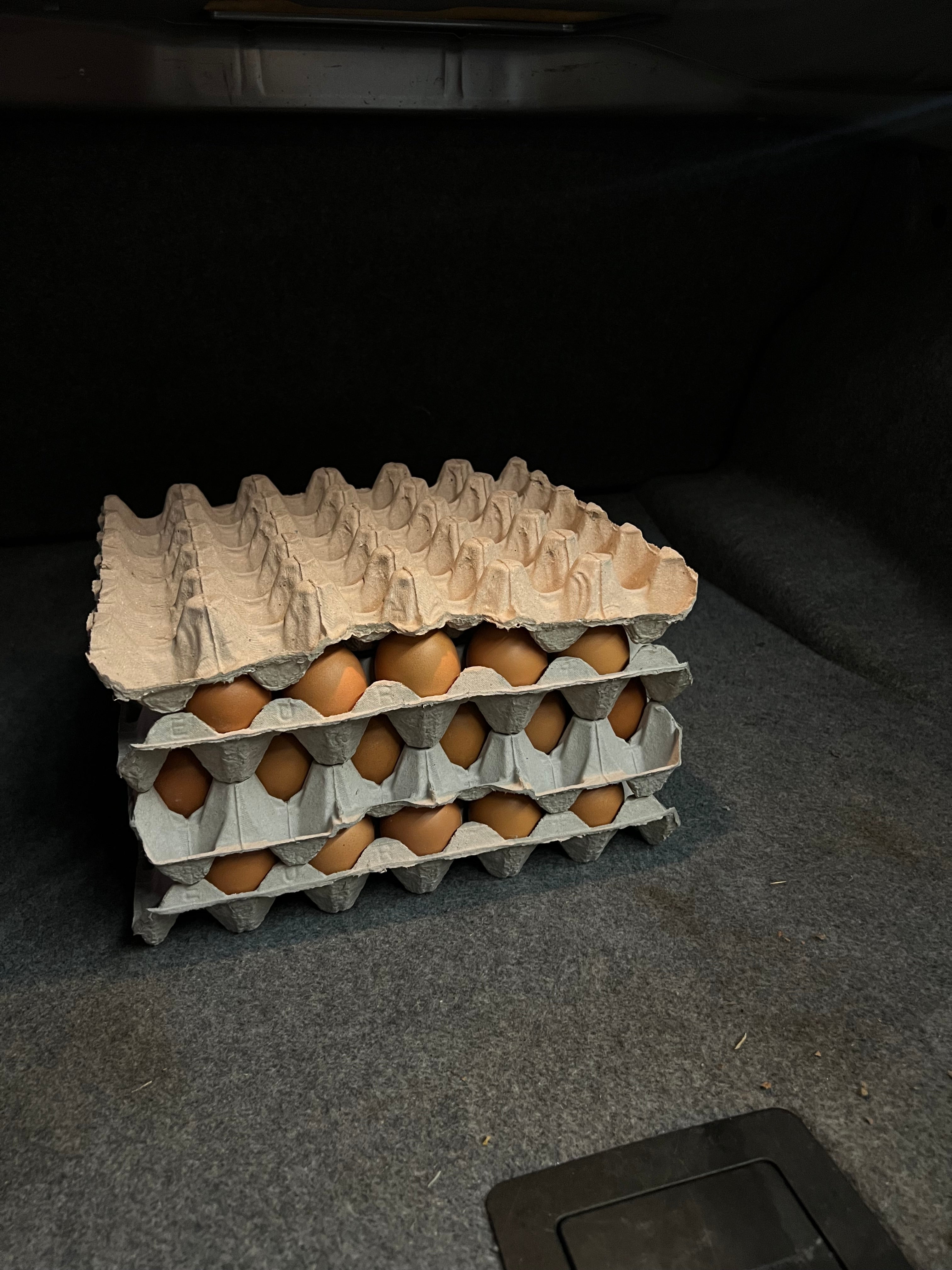 Tray of 30 Extra Large Eggs