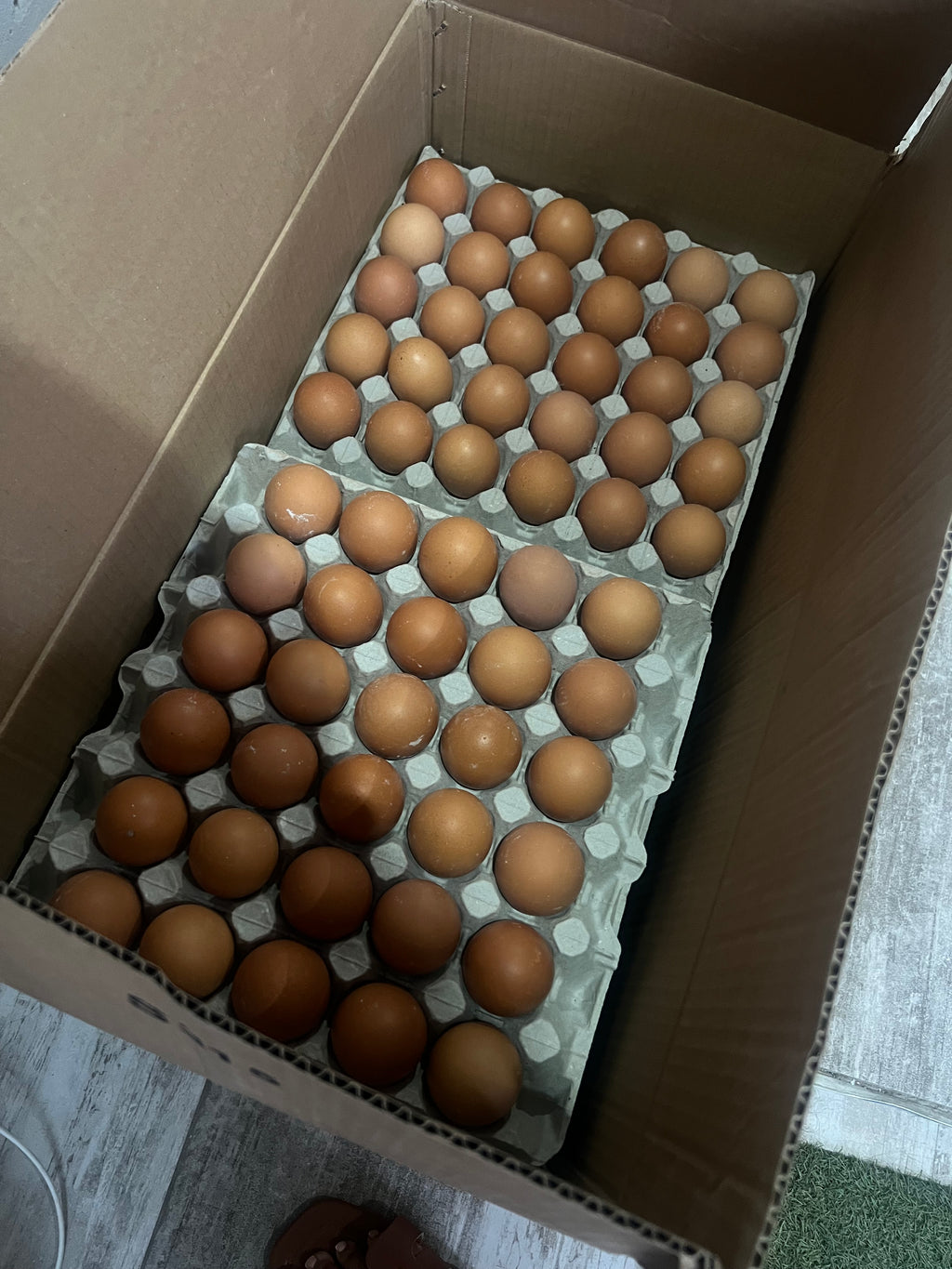 Tray of 30 Extra Large Eggs